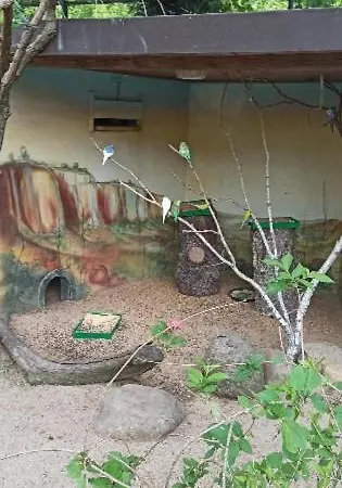 Apartmán Gentsch In Schmannewitz *