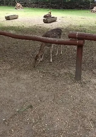 Gentsch In Schmannewitz Apartmán Dahlen