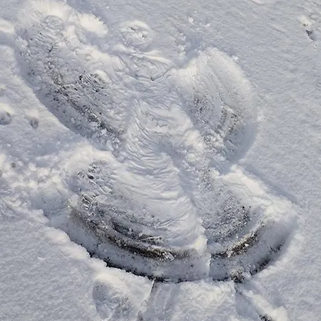 Gentsch In Schmannewitz Apartmán