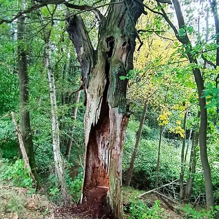 Gentsch In Schmannewitz Apartmán *