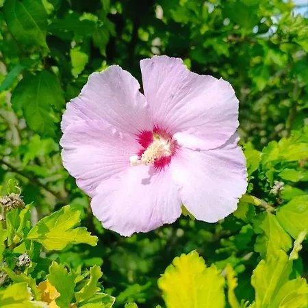 Apartmán Gentsch In Schmannewitz *