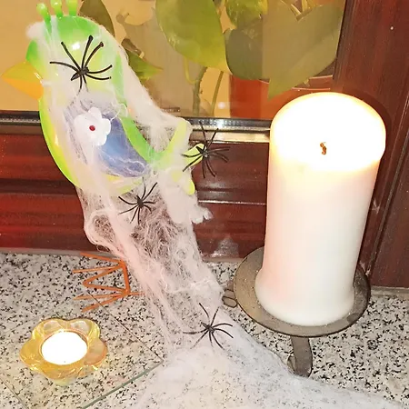 Apartmán Gentsch In Schmannewitz Dahlen